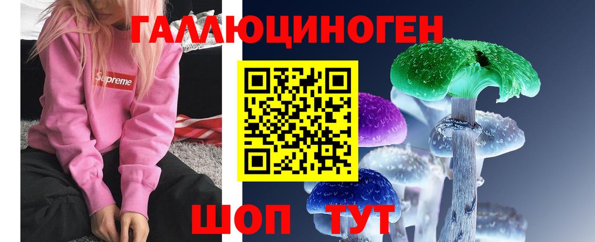 Нарткала  Псилоцибиновые грибы Psilocybe  Вход с VPN 